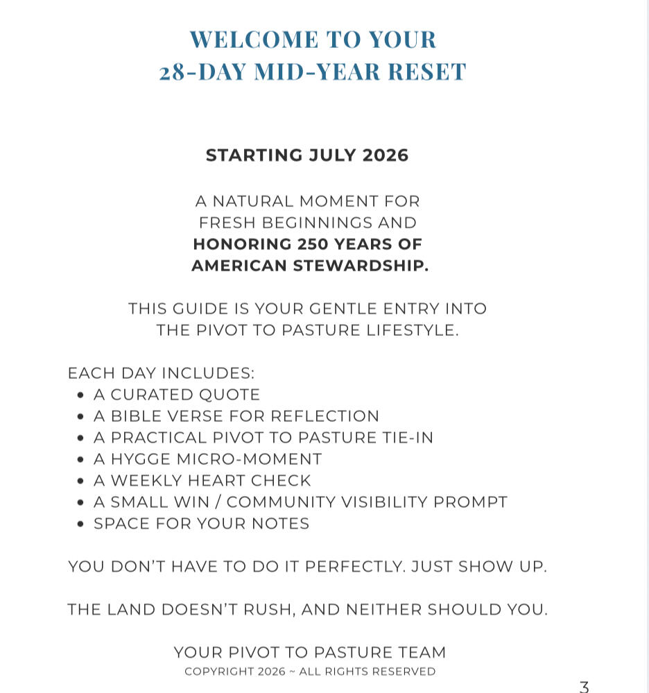 28-Day Reset Journal overview